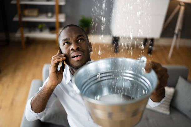 Best Water damage contractors near me  in Huntington, UT