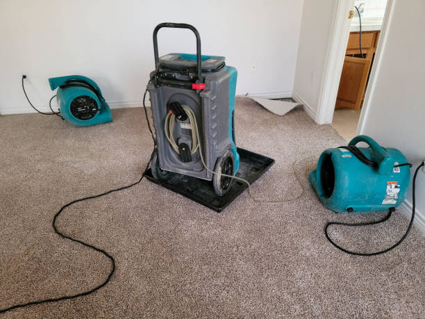 Best Residential water damage restoration  in Huntington, UT