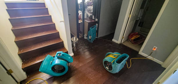 Best Ceiling water damage repair  in Huntington, UT
