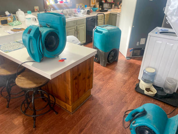 Best Commercial water damage restoration  in Huntington, UT