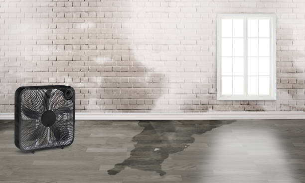 Best Water damage restoration near me  in Huntington, UT